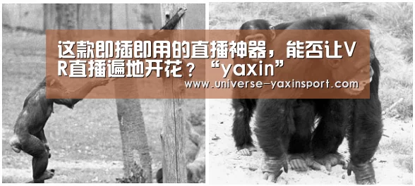 亚新体育