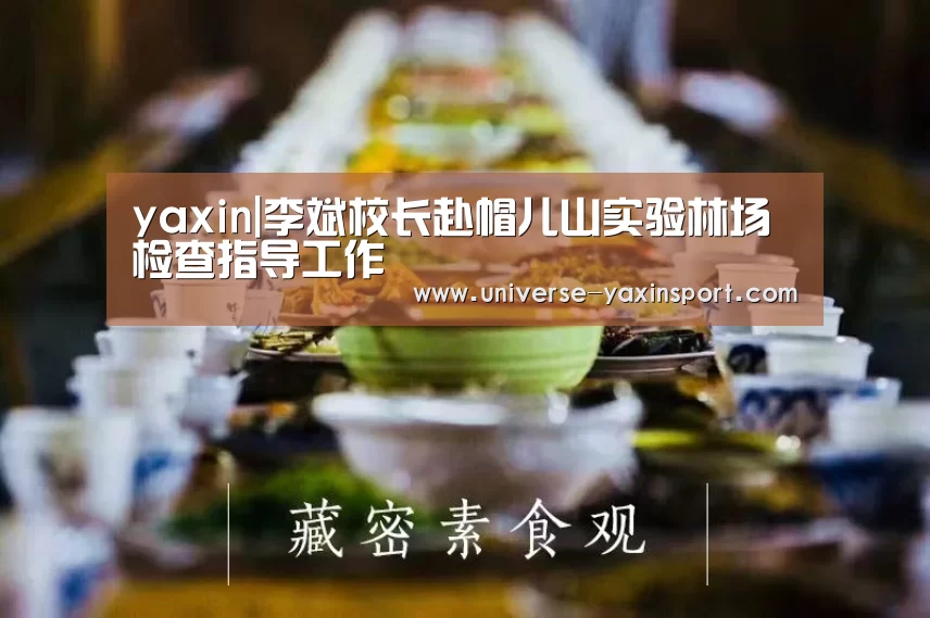 亚新网站