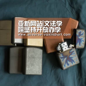 亚新网站|文法学院坚持开放办学 为服务地方社会作贡献(图4) 亚新app