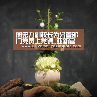 亚新网站