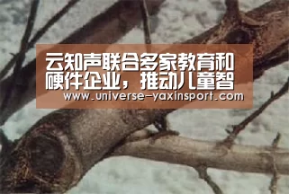 云知声联合多家教育和硬件企业，推动儿童智能产业变革‘亚新体育’(图3)