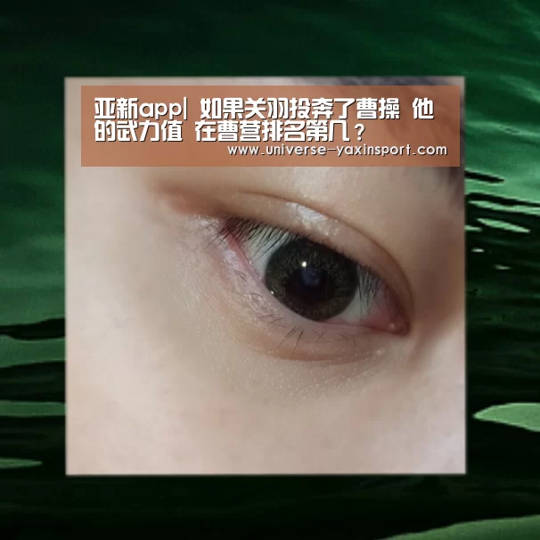 亚新app|
如果关羽投奔了曹操 他的武力值 在曹营排名第几?(图2) 亚新官网
